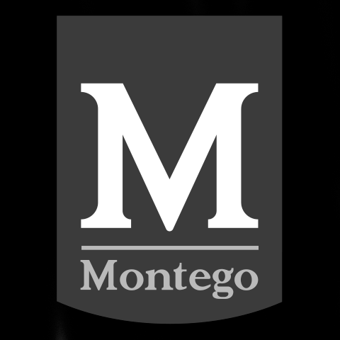 You are currently viewing Montego logistics